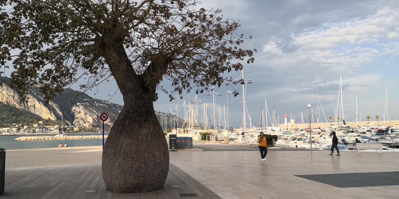 Joli Studio Dans Le Coeur De Menton Eksteriør bilde